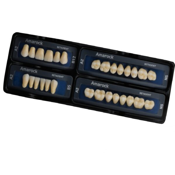 ست دندان مصنوعی کامپوزیتی آماروک بتادنت (Amarok Composite Artificial Teeth Set) | شرکت: Betadent | دنتالاین