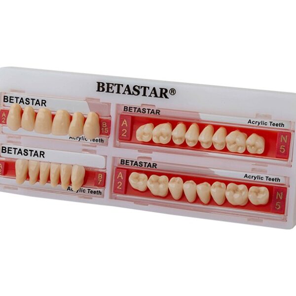ست دندان مصنوعی بتا استار بتادنت (Beta Star Artificial Teeth Set) | شرکت: Betadent | دنتالاین