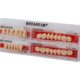 ست دندان مصنوعی بتا استار بتادنت (Beta Star Artificial Teeth Set) | شرکت: Betadent | دنتالاین